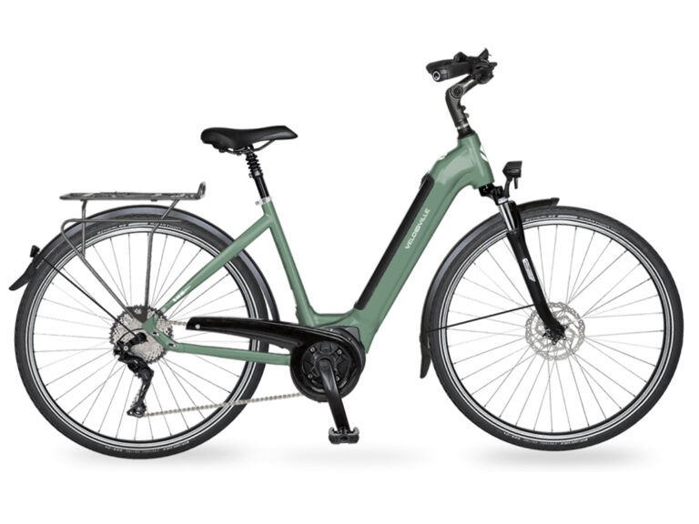 Velo de Ville - E-Bikes AEB 890 - Eucalyptus Green - Bosch Performance Line und Akku 625 Wh